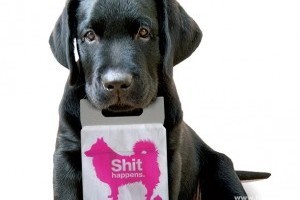 Rózsaszínre festik a kutyapiszkot Skóciában