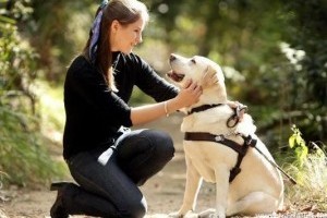 A vakvezető kutyával közlekedők is segítségre szorulnak