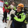 3 kiskutya is előkerült a lavina által betemetett hotelből