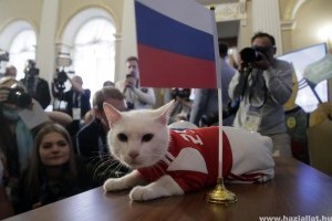 Egy futballcsapatnyi állat jósolja a meccsek eredményét Oroszországban