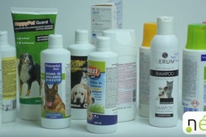 Kutyasampon-teszt: egyes termékek használata kockázatos