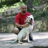 Kutyafajták: az argentin dog - tíz az egyben