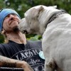 Hobbi kutya szépségverseny is lesz az idei budapesti CACIB kutyakiállításon
