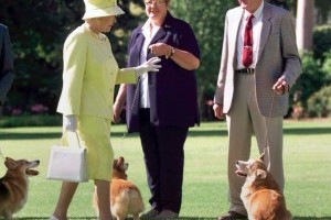 A brit uralkodó utolsó corgi kutyája is elpusztult