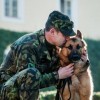 Miniszteri kitüntetést kapott a cseh hadsereg egyik kutyája
