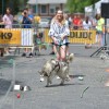 IV.  Ebathlon: Kutyamelegben is versenyeztek a kutyus-gazdi párosok