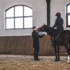 Magyarországon tart előadást Christofer Dahlgren svéd lovasmester