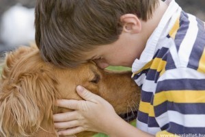 A kutya erősíti a gyerek immunrendszerét