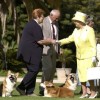 Királyi módra étkeznek a királynő kutyái