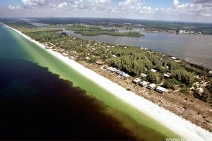Emberre is veszélyes, mérgező algatelepek lepték el Florida egyes partvidékeit