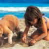 Tartsd távol a macskádat a homokozótól!